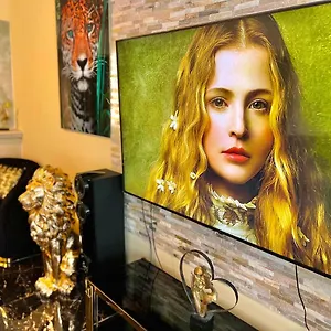 https://luxury-design-apartment.bruges-hotels.info