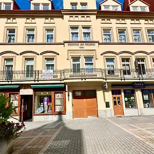 https://apartment-erika.marianskelaznehotels.net